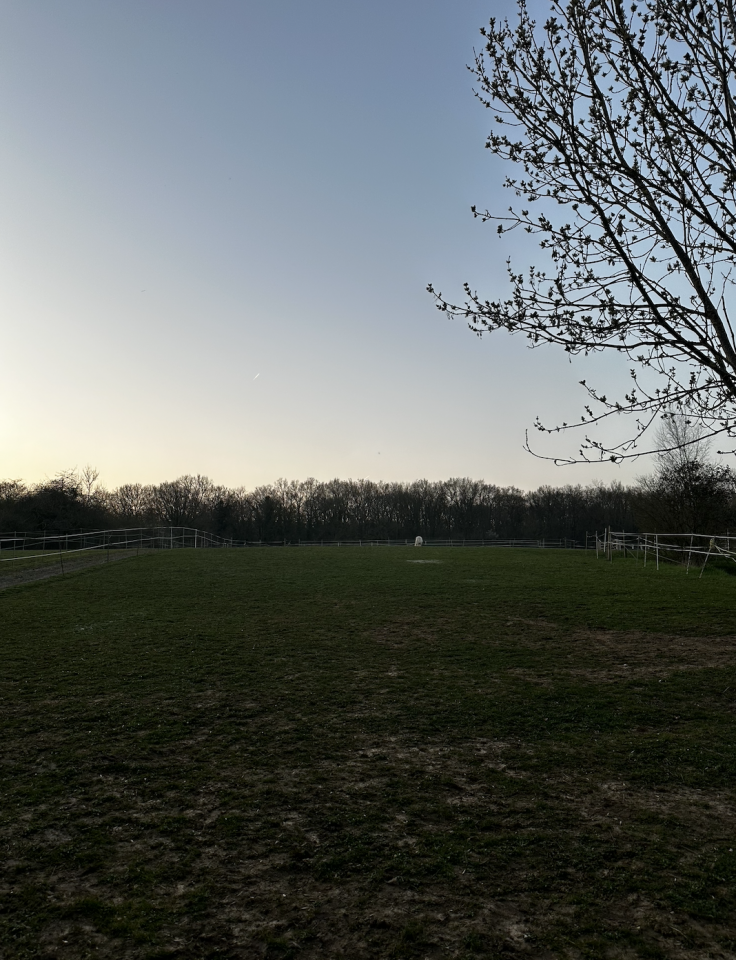 Pension Pr&eacute; &agrave; Seine Port 77