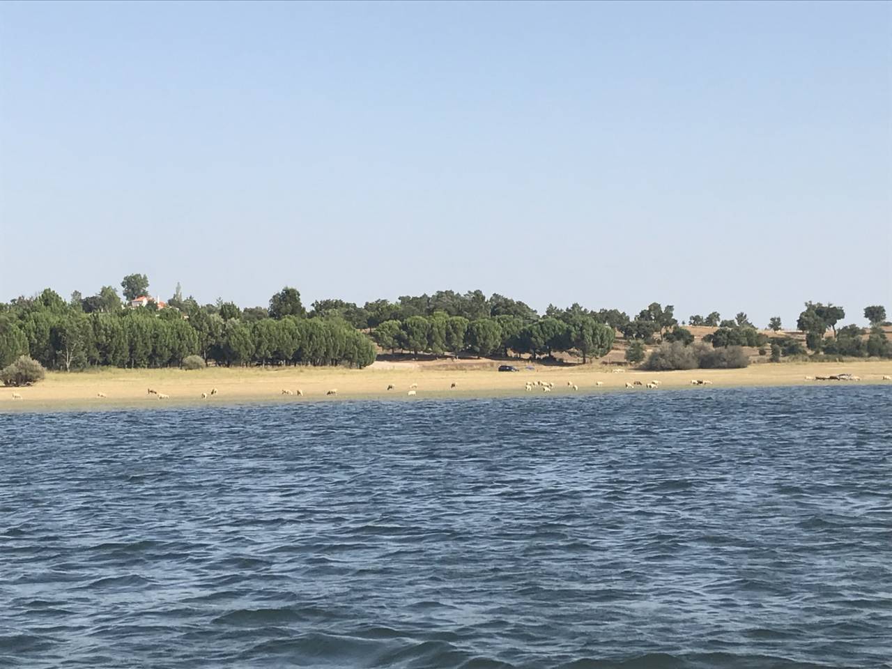 952451_1750161943_8819.jpg