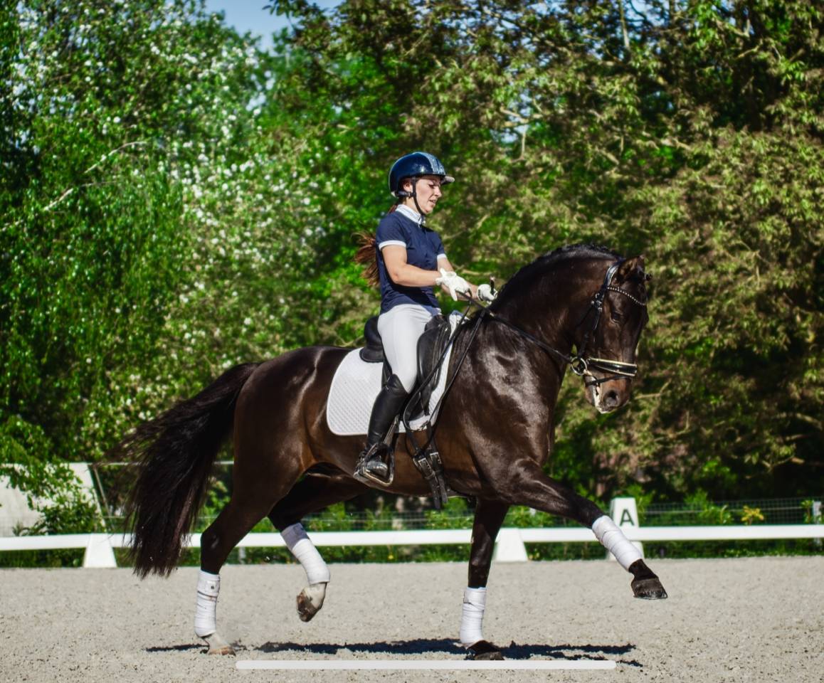 ANTARES DE SCUDERIA disponible en IAC 