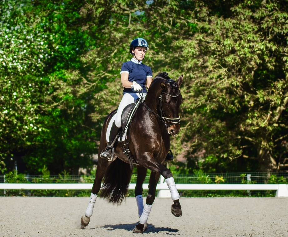 ANTARES DE SCUDERIA disponible en IAC 