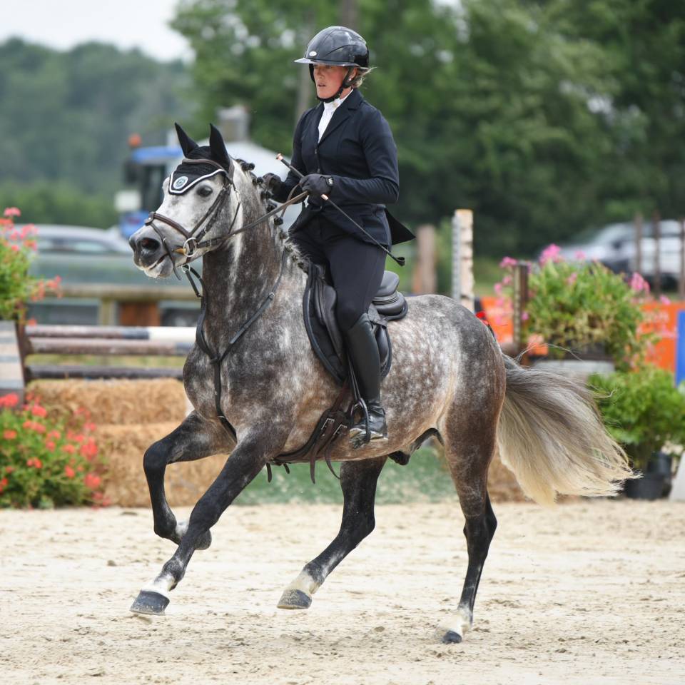 Cavalière & enseignante, gardiennage, grooming
