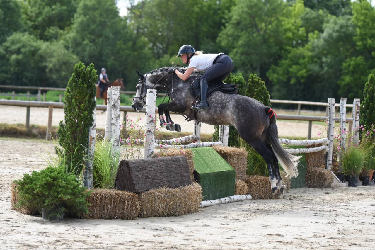 Cavalière & enseignante, gardiennage, grooming