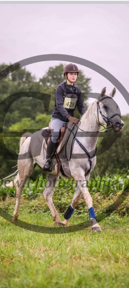 Cheval endurance 