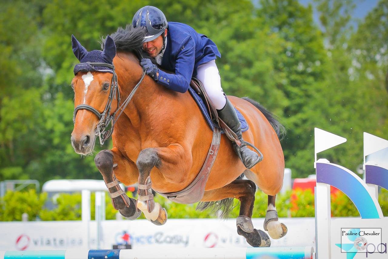 Excellent cheval de concours 130-135