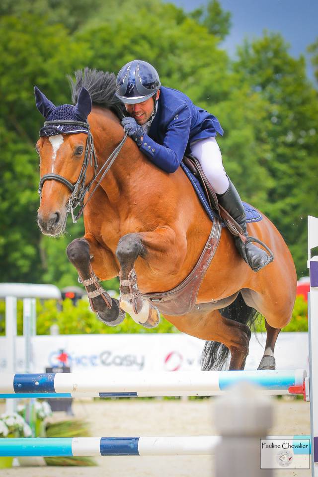 Excellent cheval de concours 130-135