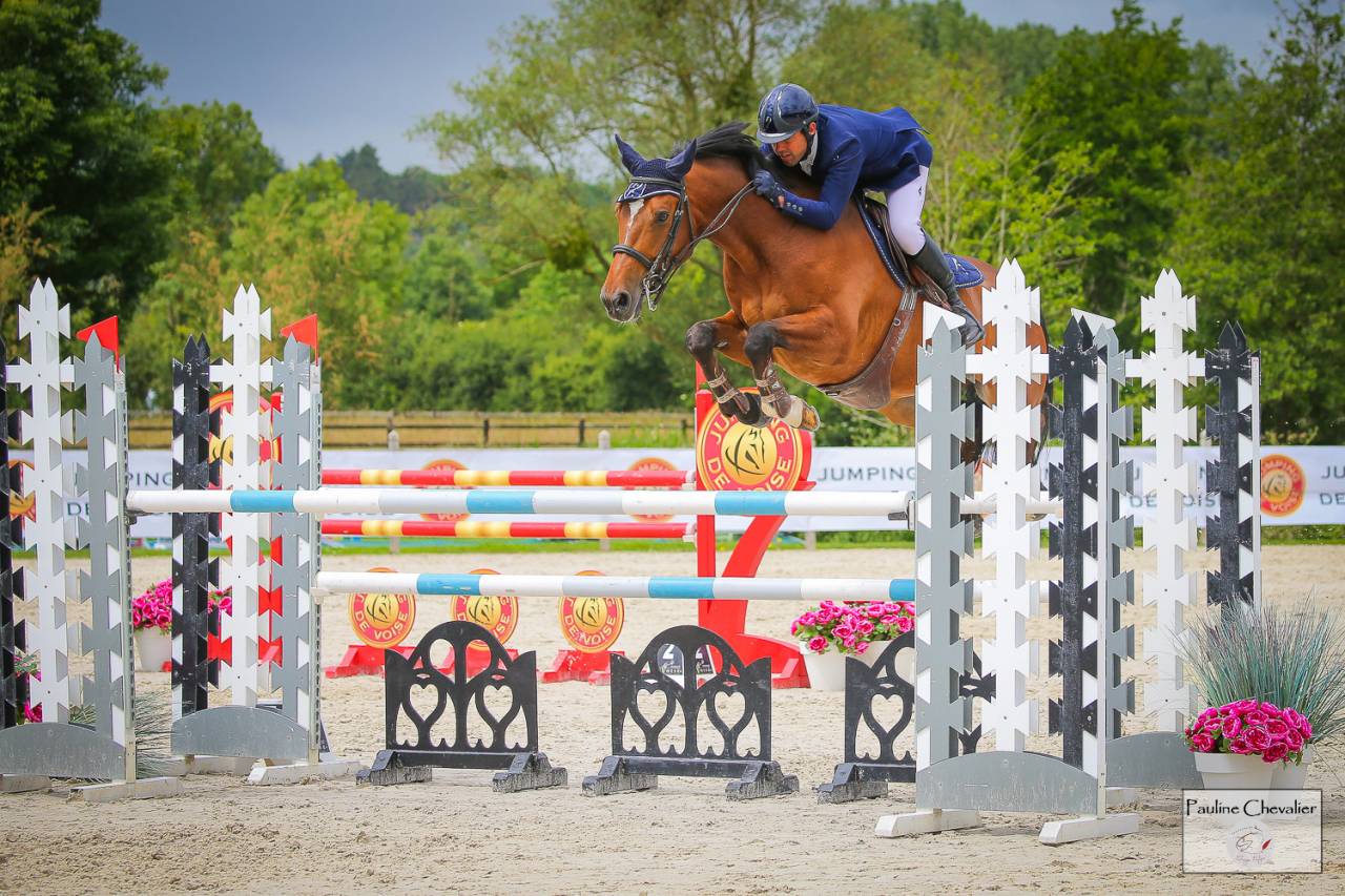 Excellent cheval de concours 130-135