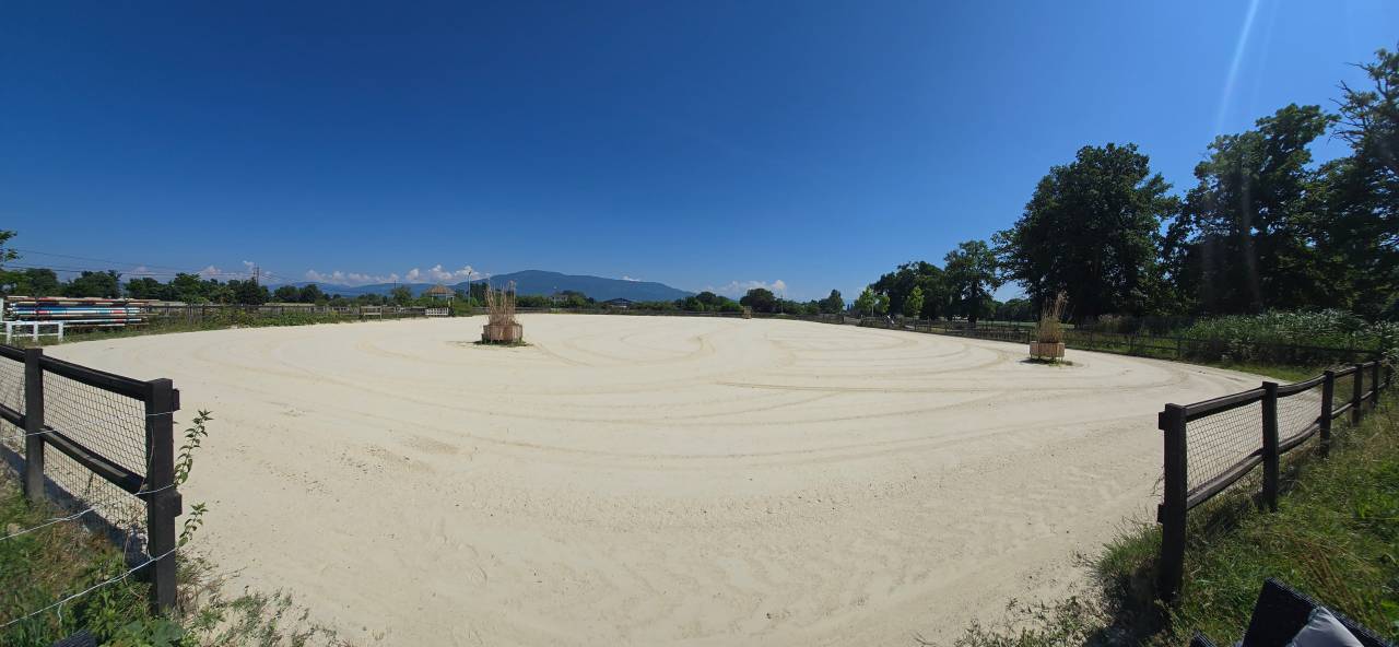 PENSION COMPLETE BOX/ PARC