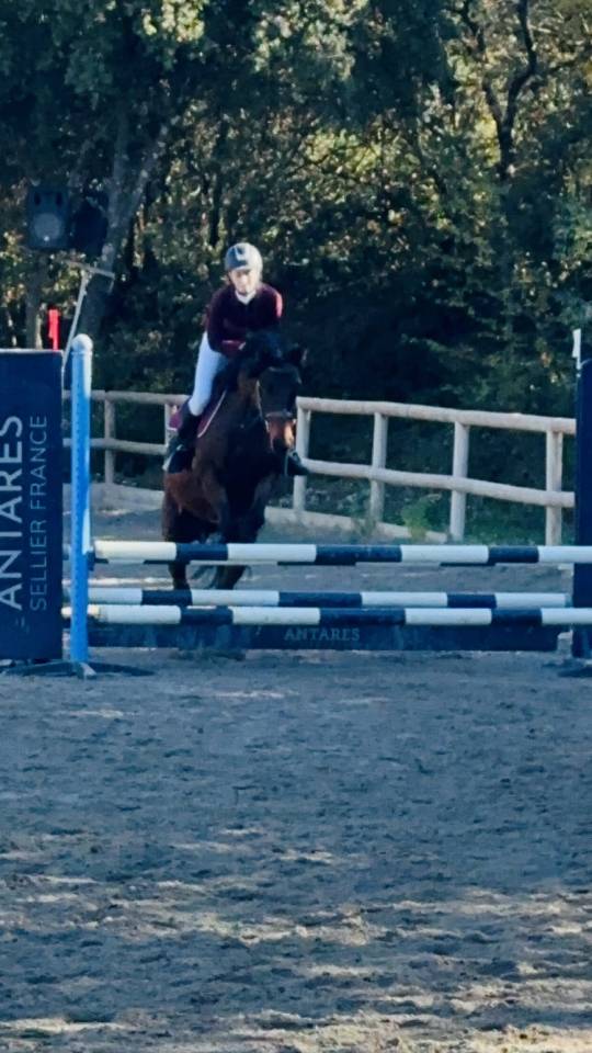 Ponette ONC 1m45 -cheval de famille par excellence