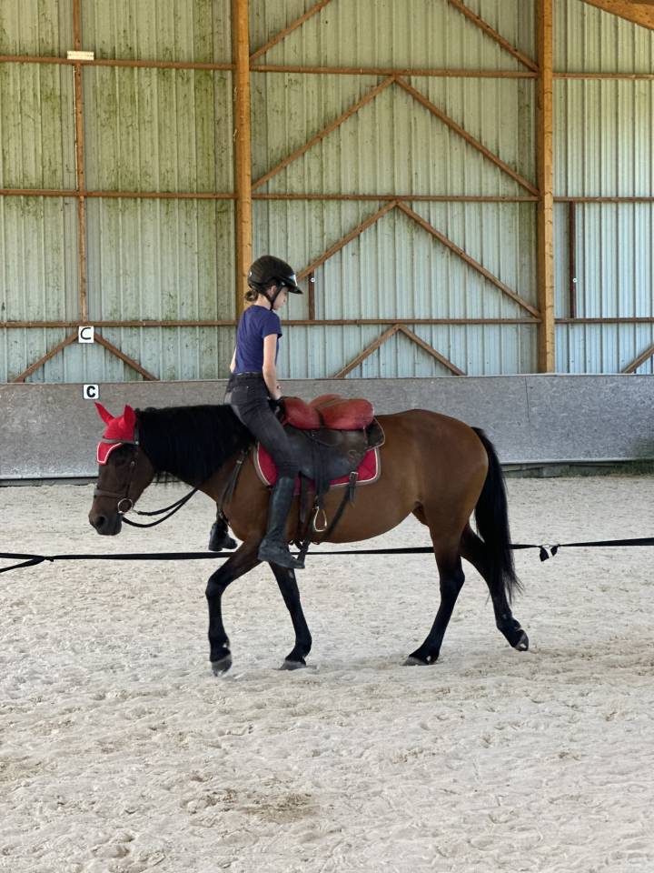 Ponette ONC 1m45 -cheval de famille par excellence