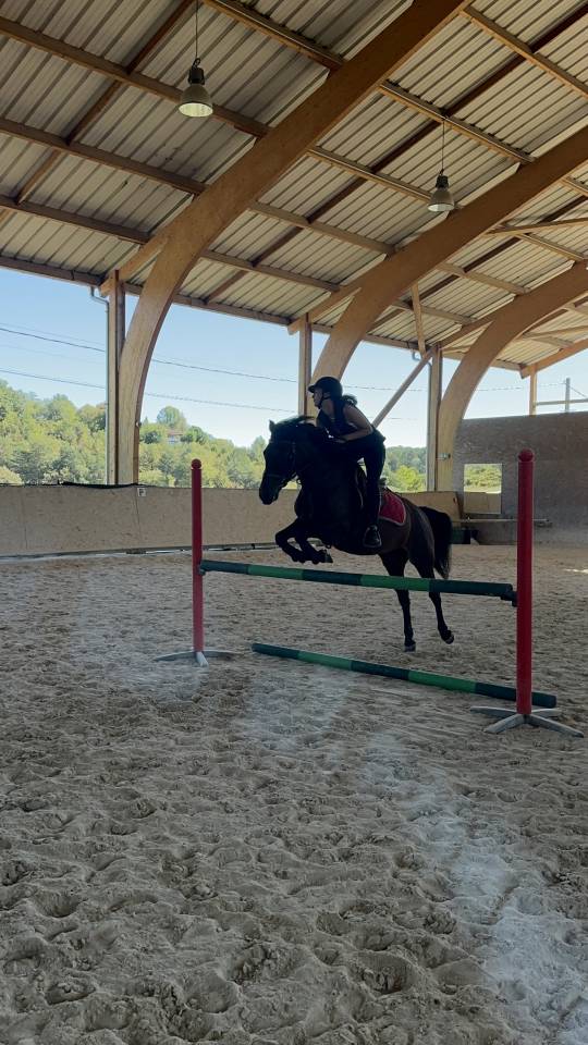 Ponette ONC 1m45 -cheval de famille par excellence