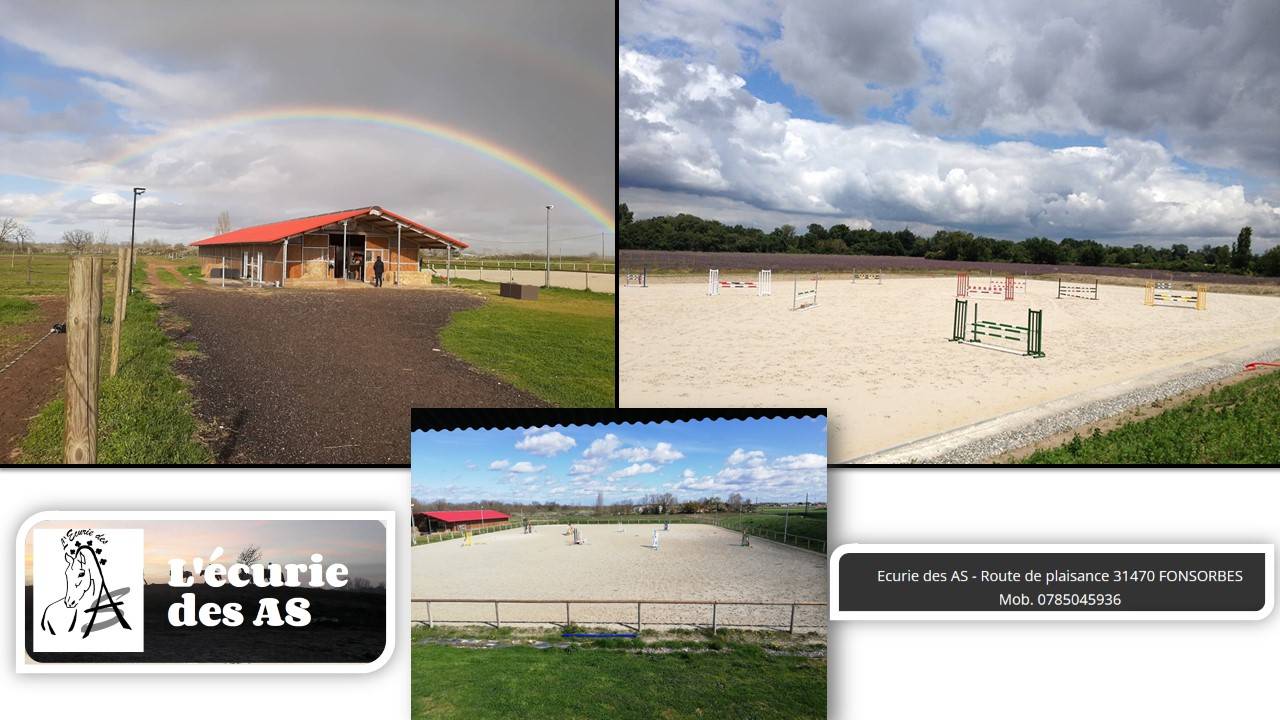 Pension Chevaux et Poneys