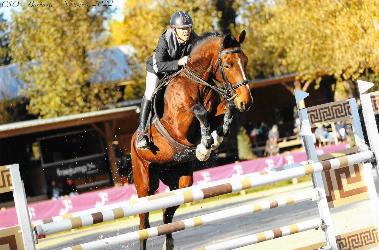 Pension Chevaux et Poneys