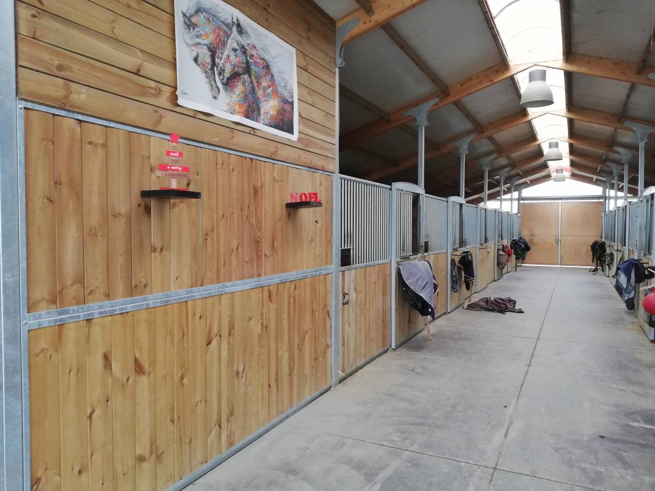 Pension Chevaux et Poneys