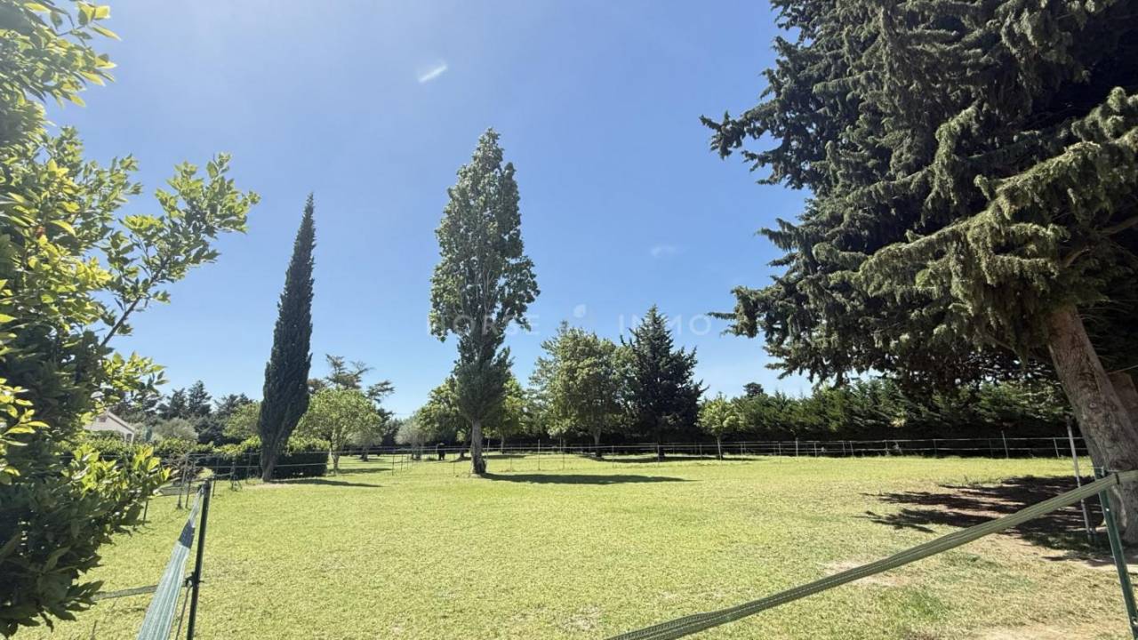 953194_1750386812_5287.jpg