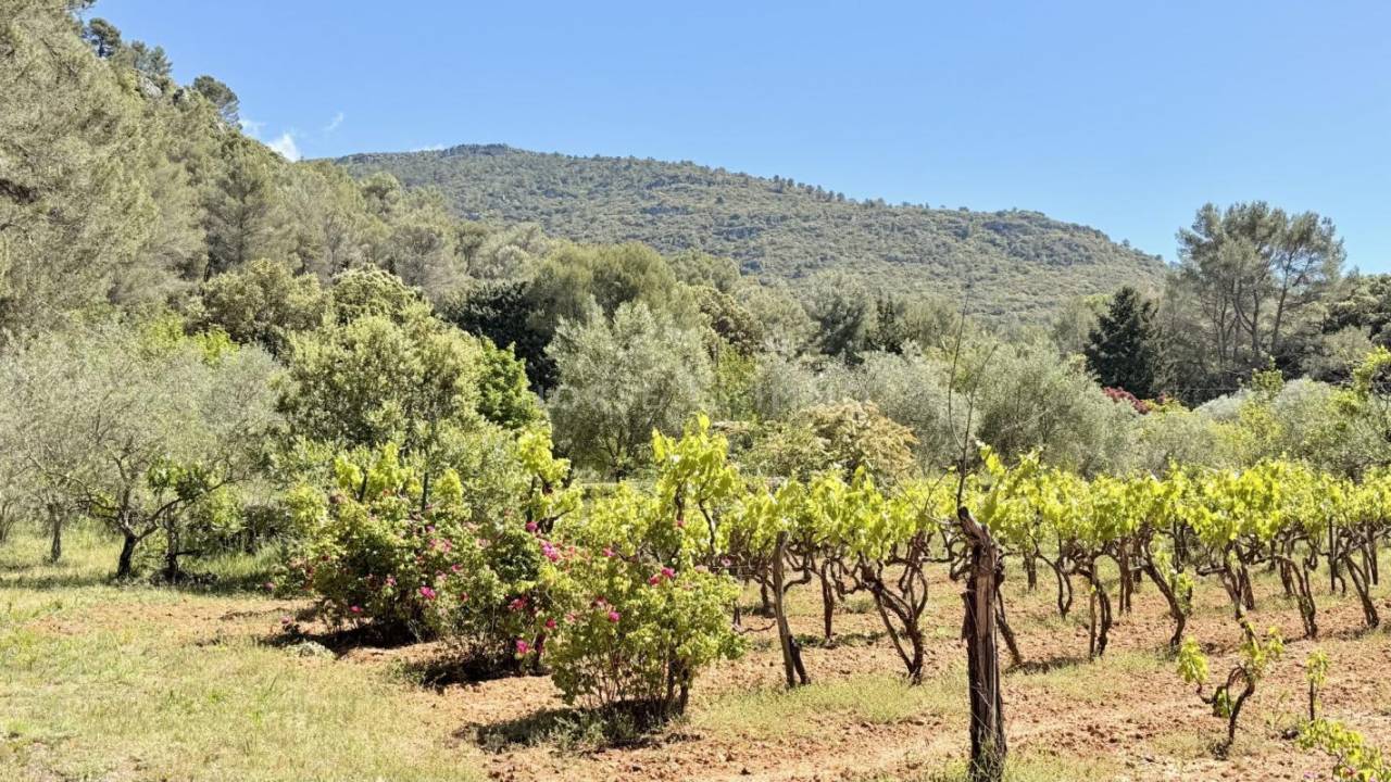 Jolie propri&eacute;t&eacute; pour amoureux de nature