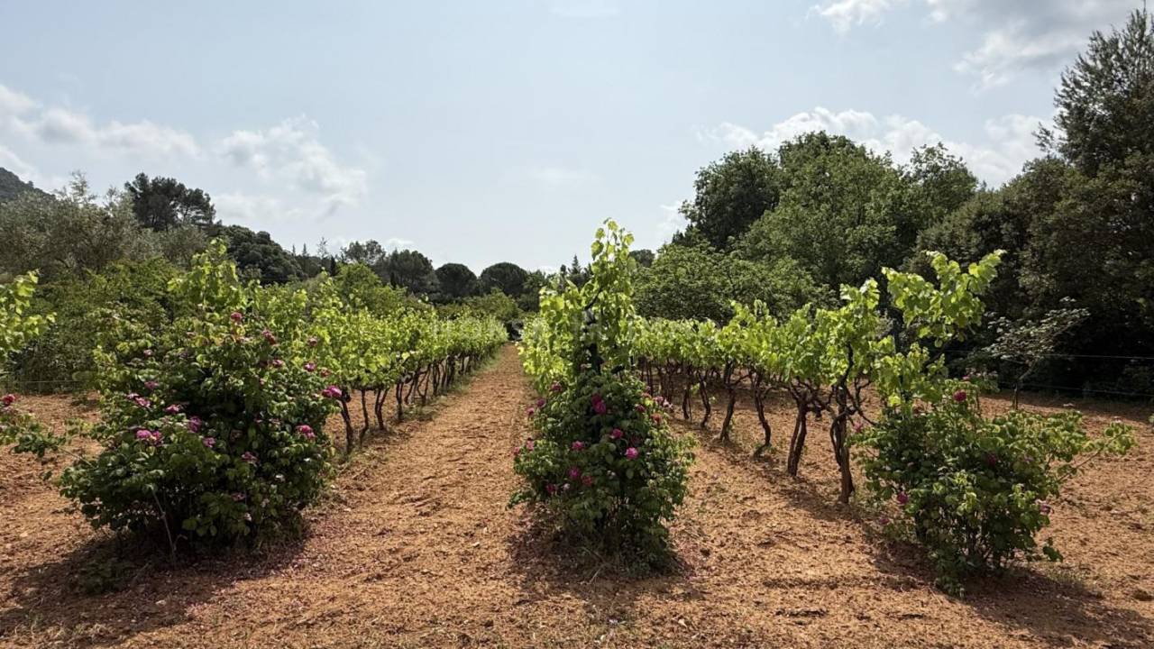 Jolie propri&eacute;t&eacute; pour amoureux de nature