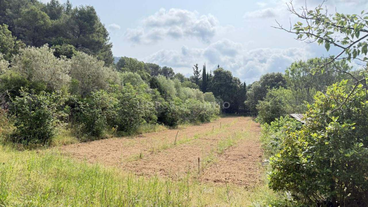 Jolie propri&eacute;t&eacute; pour amoureux de nature