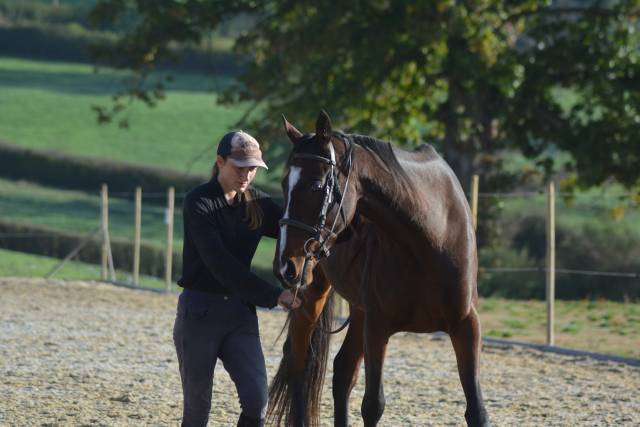 Cours particuliers équitation 