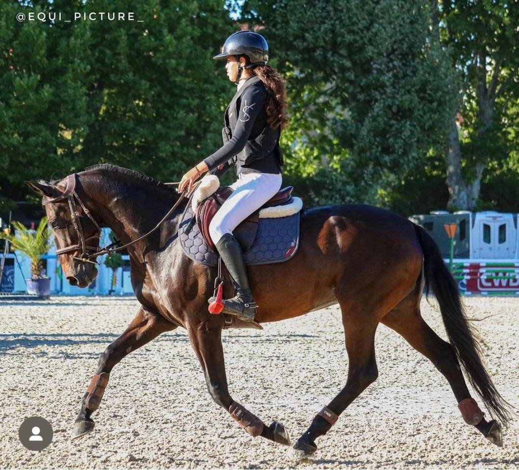 A vendre Ponette SF Top Origine Quinoto Bois Margot 