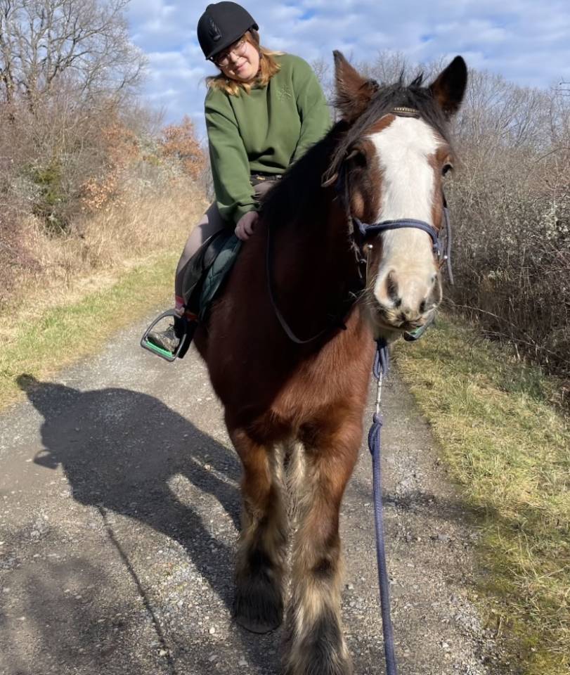 Recherche apprentissage BPREA equin 