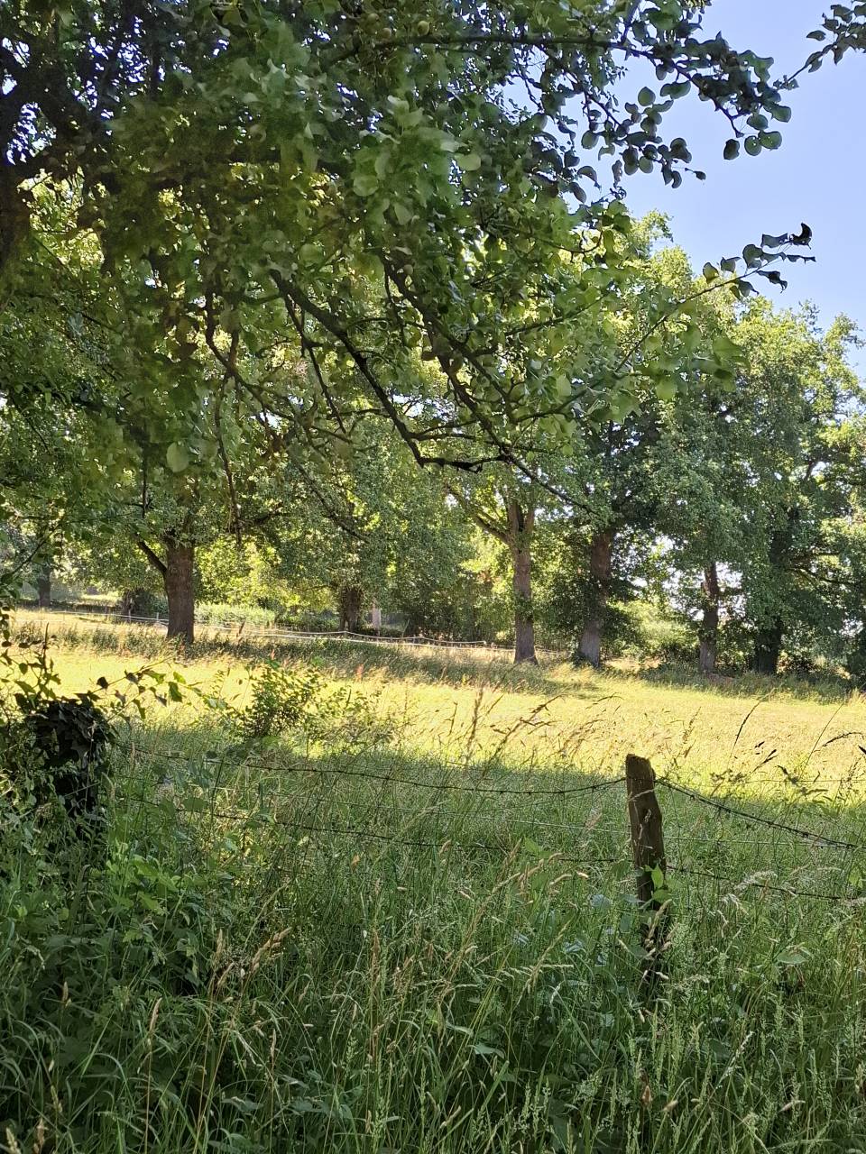 953636_1750692016_9466.jpg