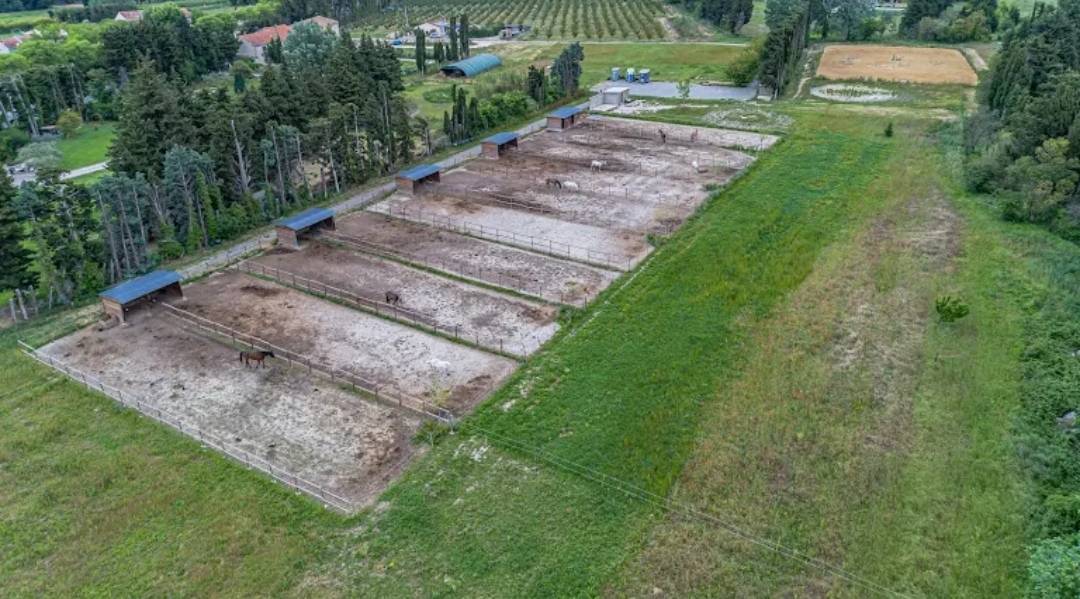 Ecurie participative sur Chateaurenard 