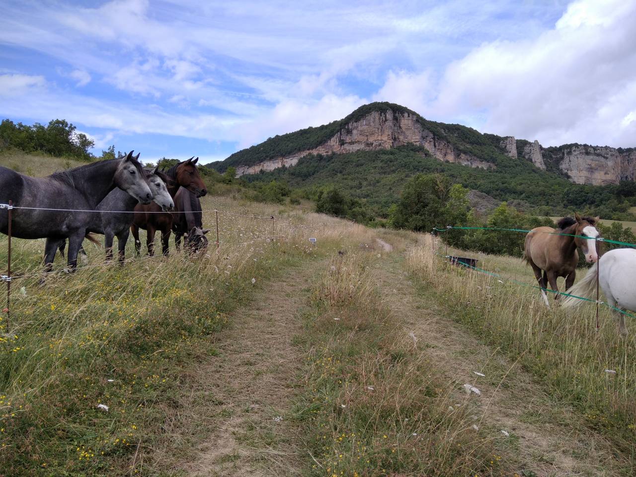 Pension paddock et pr&eacute;