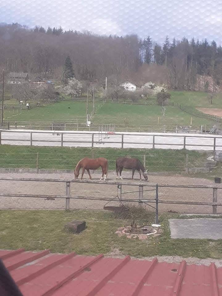 Deux places à l'écurie de l'Espel