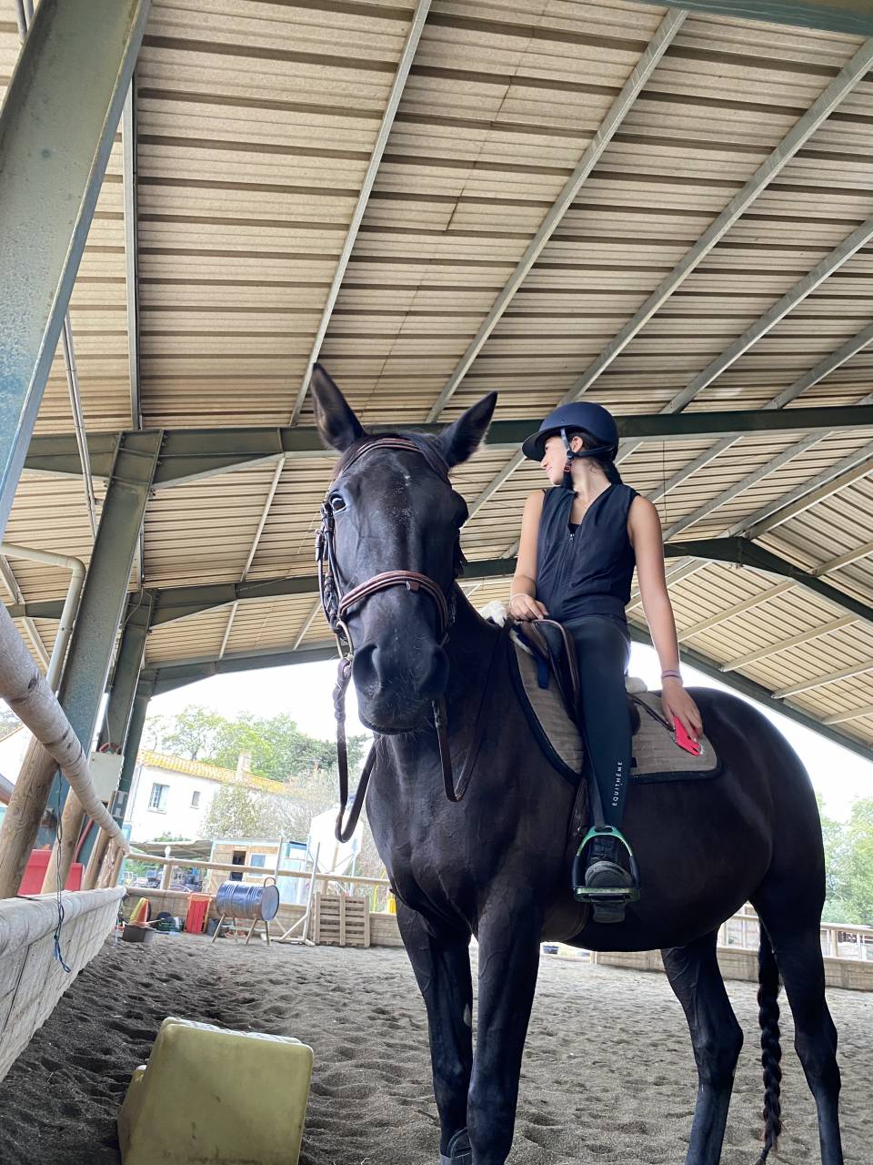  Jument trotteur français 