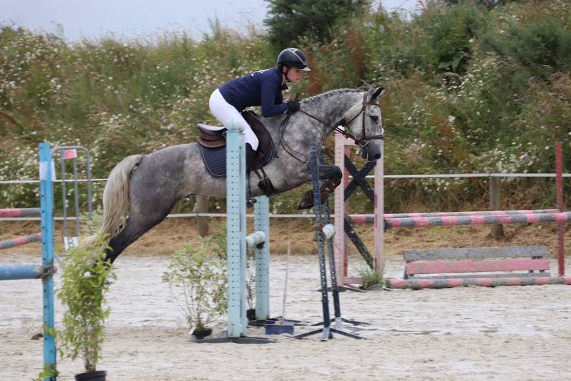 Poney Connemara 6 ans 