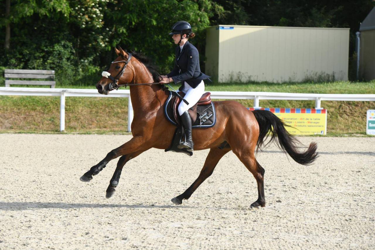 5 ans hongre WBP