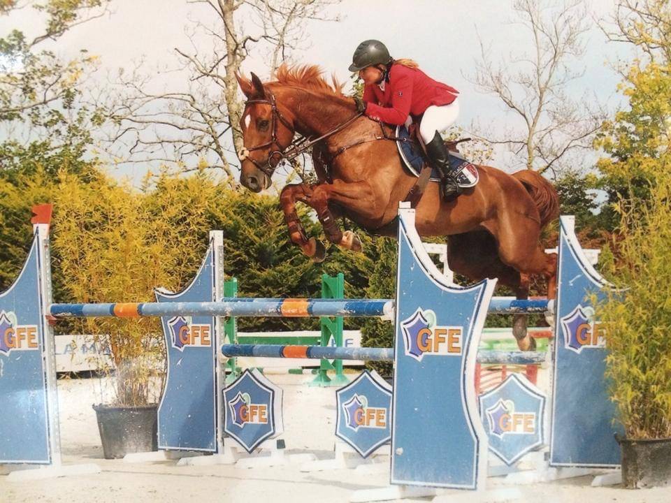 Hongre de un an par Hurricane de Champloue