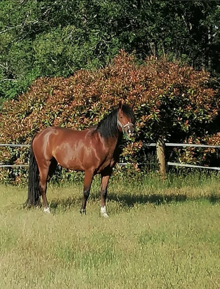  Urgent Av entier 8 ans 