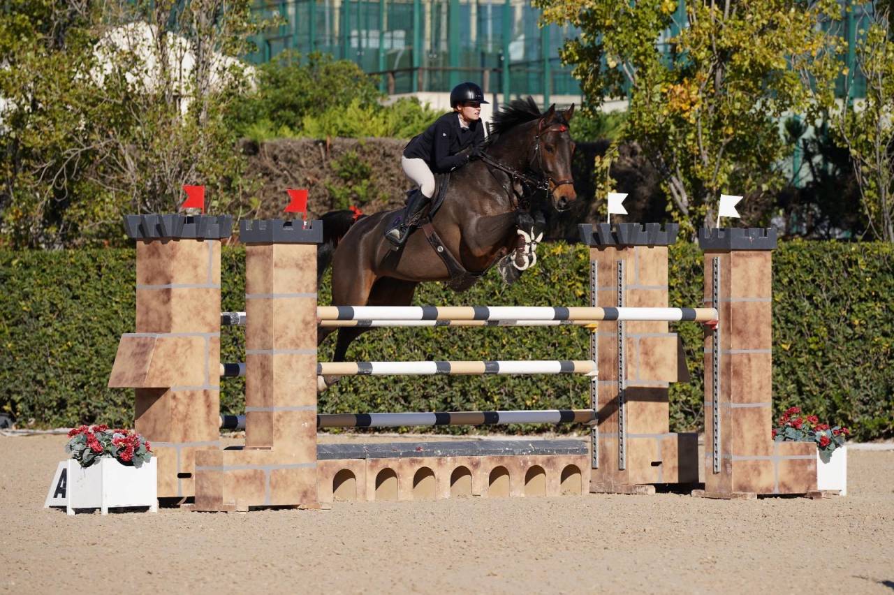 Jument oldenburg 8 ans, 174 ,classée 140