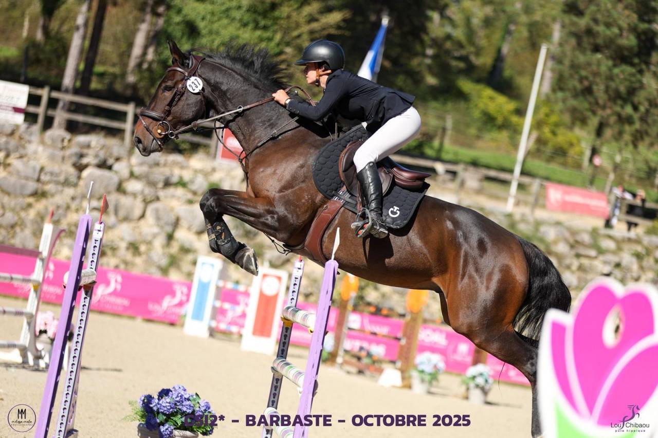 HONGRE ZANGERSHEIDE 9 ans 171cm cso 150