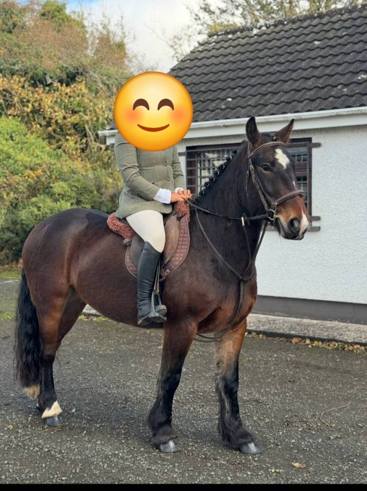 Top poney 
