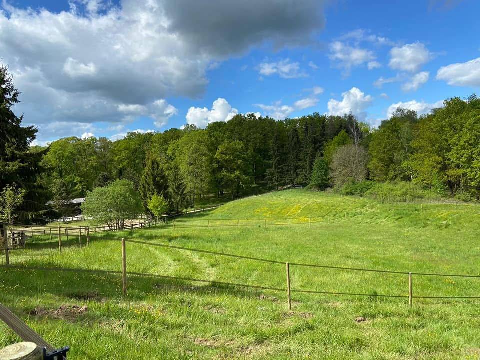 &Eacute;CURIE CBC STABLES