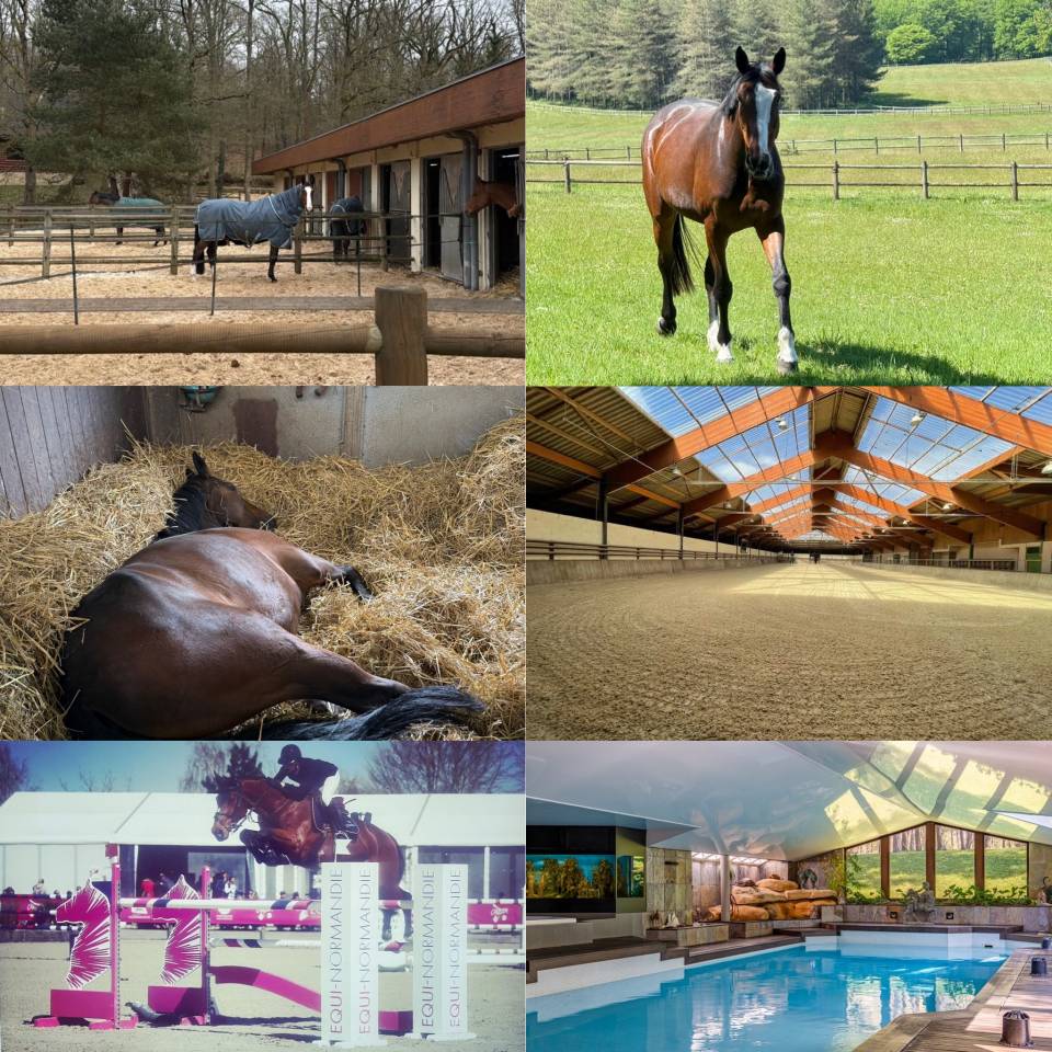 &Eacute;CURIE CBC STABLES