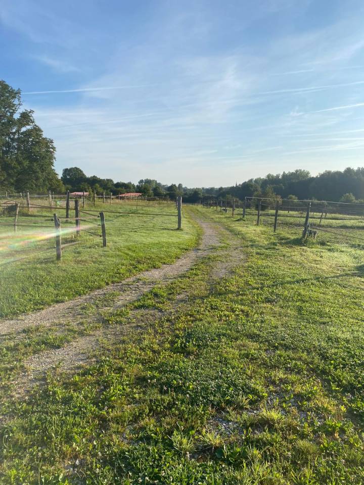 LOCATION ECURIE 10 BOXES