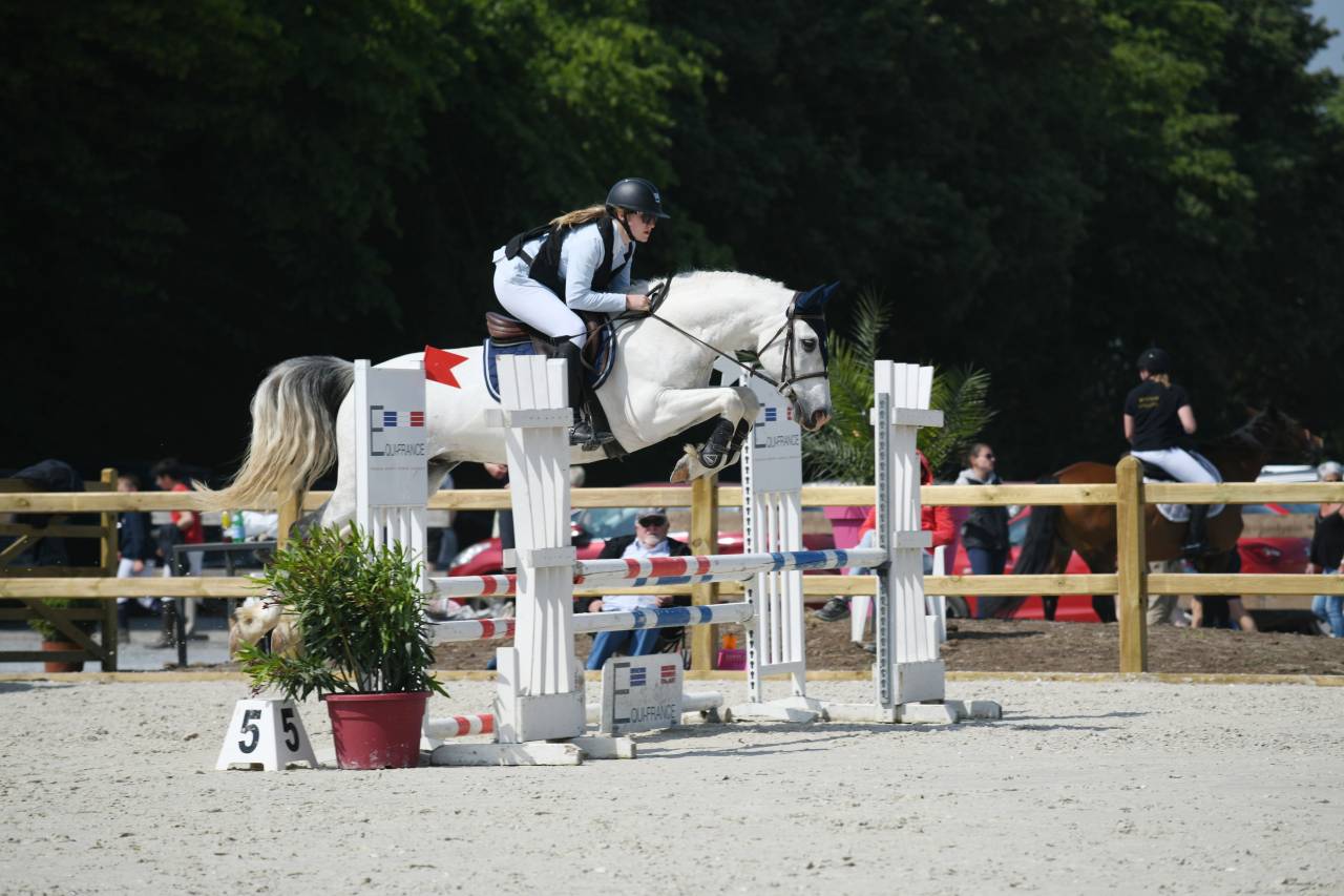 CHEVAL HYPER POLYVALANT 