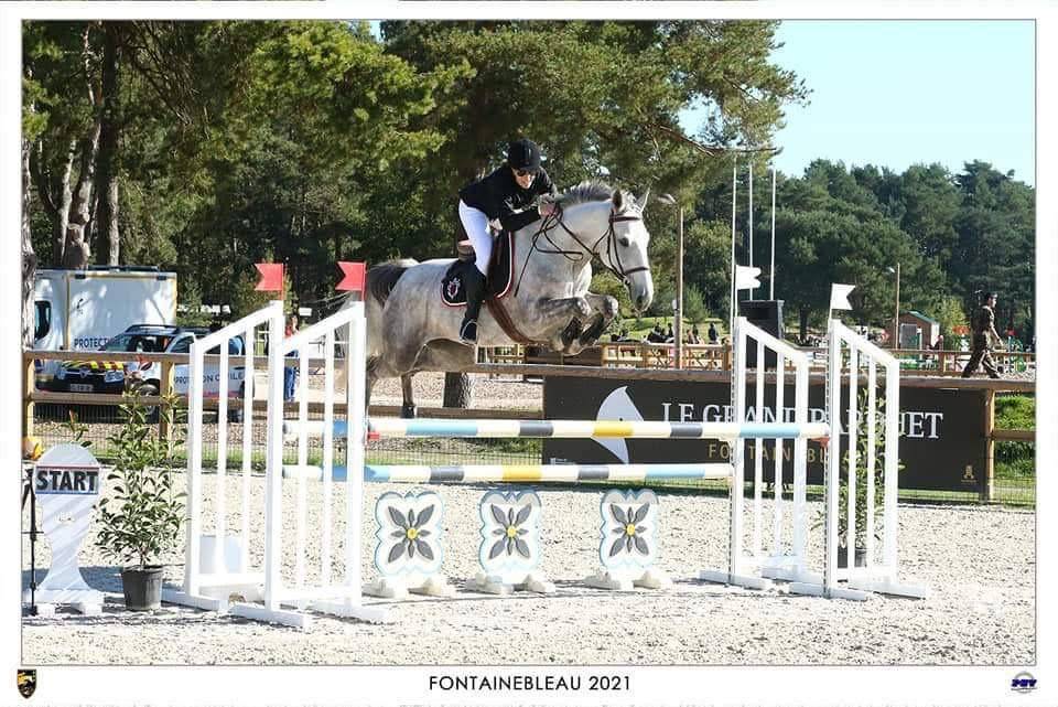 Jument de sport SF 10 ans