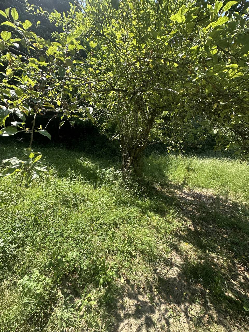 Nouvelle &eacute;curie de propri&eacute;taire  &agrave; Saint Marcellin (38)