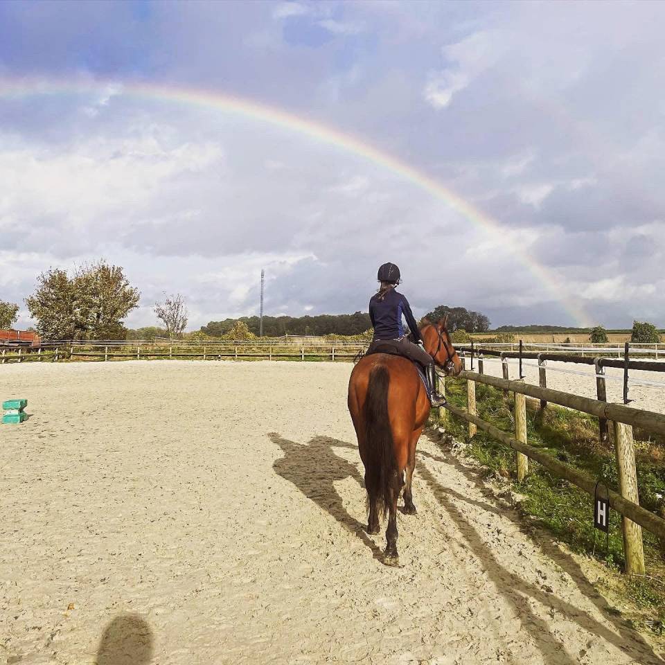 Pension box paddocks 