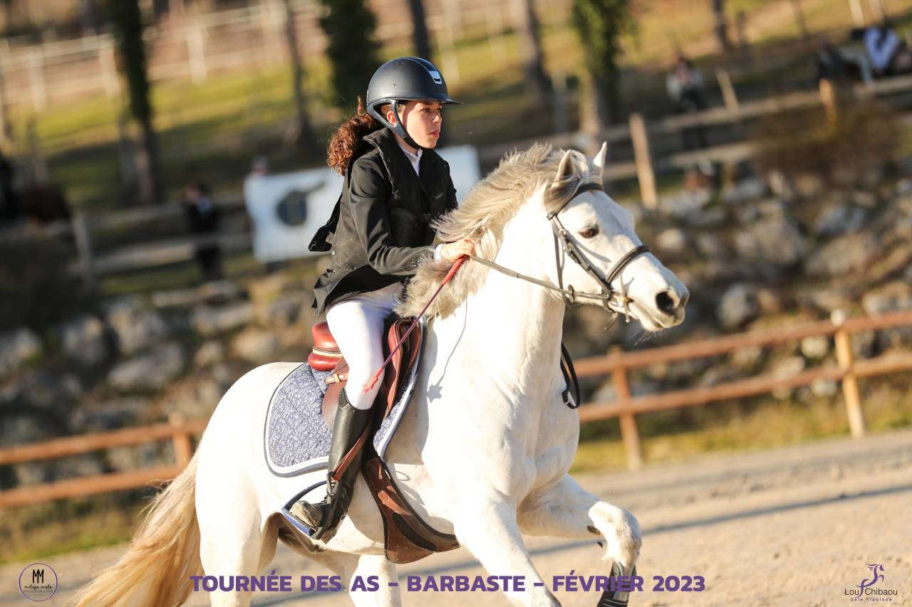 Poney Maitre d'école a Vendre 