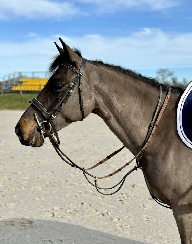 Ponette de sport