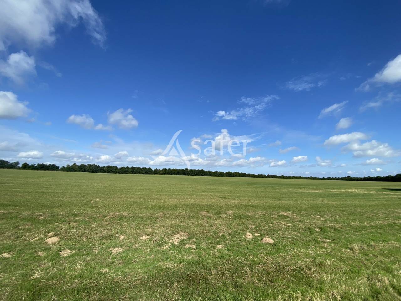 954708_1751337145_0927.jpg