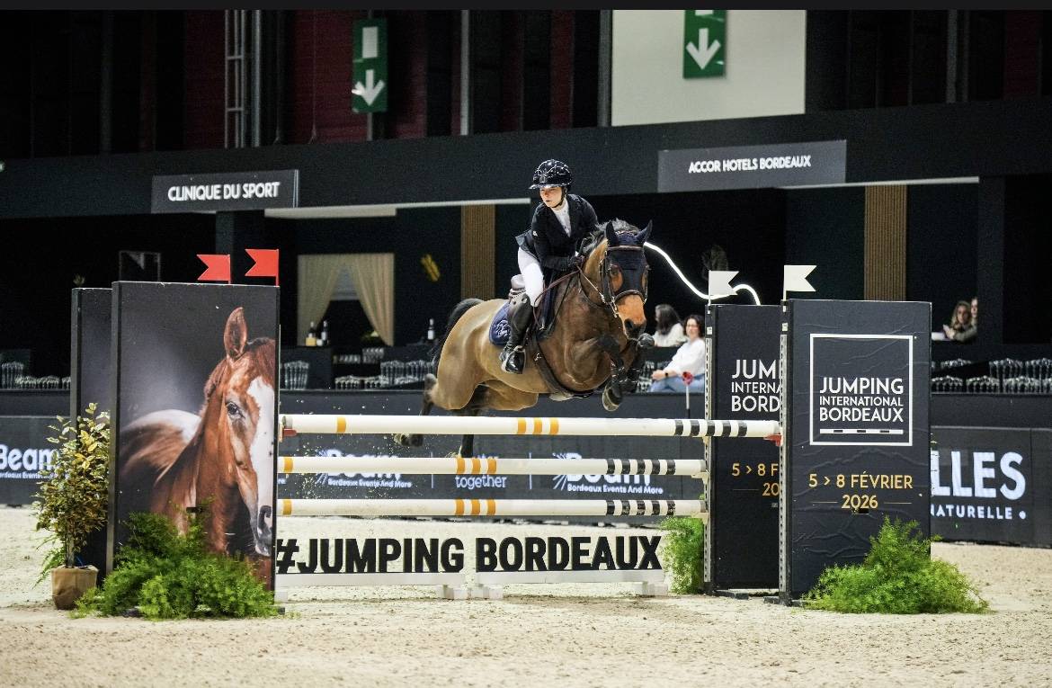 Jument de cso 13 ans a vendre 