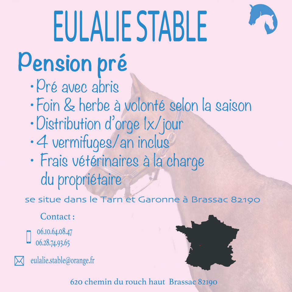 Pension chevaux &ndash; Brassac (82190) &ndash; D&egrave;s 200&euro;/mois