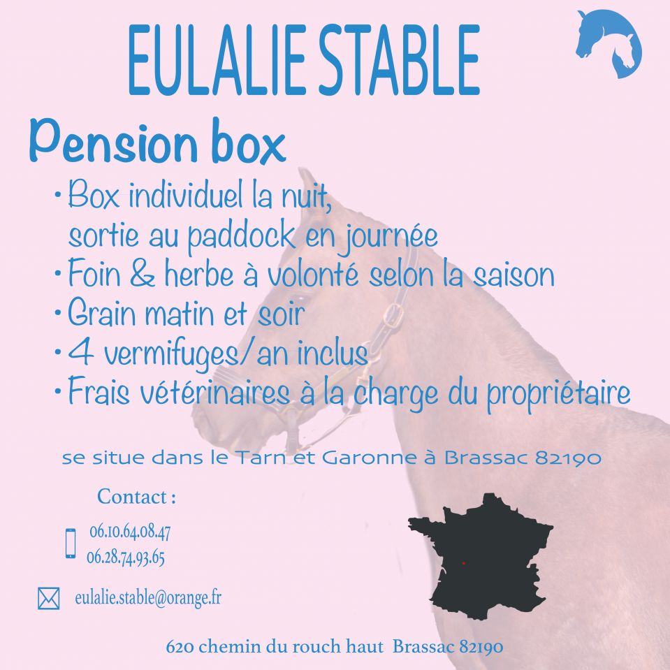 Pension chevaux &ndash; Brassac (82190) &ndash; D&egrave;s 200&euro;/mois