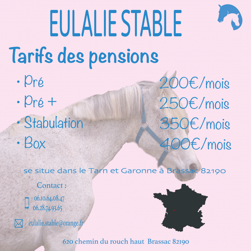 Pension chevaux &ndash; Brassac (82190) &ndash; D&egrave;s 200&euro;/mois